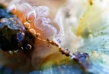 abstract bubbles artwork 1920x1200 wallpaper Art HD Wallpaper